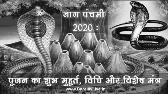 Nag Panchami 2020 नाग पंचमी 25 जुलाई को पूजन का शुभ मुहूर्त और विशेष मंत्र