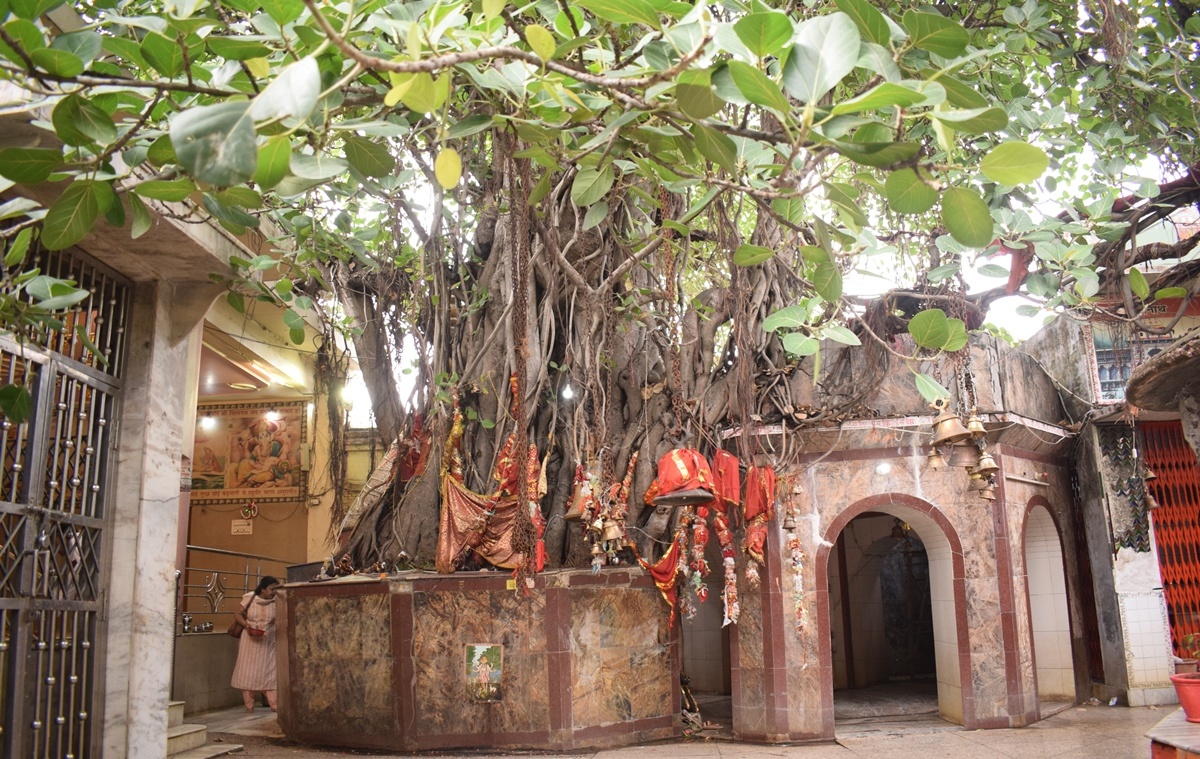 नाथ नगरी बरेली धाम, अलखनाथ मन्दिर, स्वयं प्रकट शिवलिंग, baba Alakhnath Mandir,