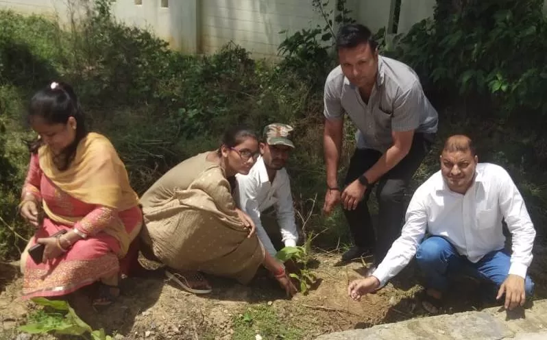 Teachers and students planted saplings in Bhadpura Degree College