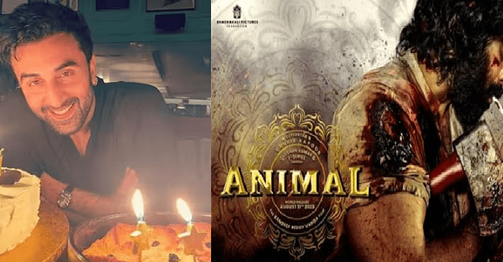 The Animal Hindi Teaser is Here, #AnimalTeaser ,#Animal ,#AnimalTheFilm ,#AnimalOn1stDec ,#रणबीर_कपूर_बर्थडे,