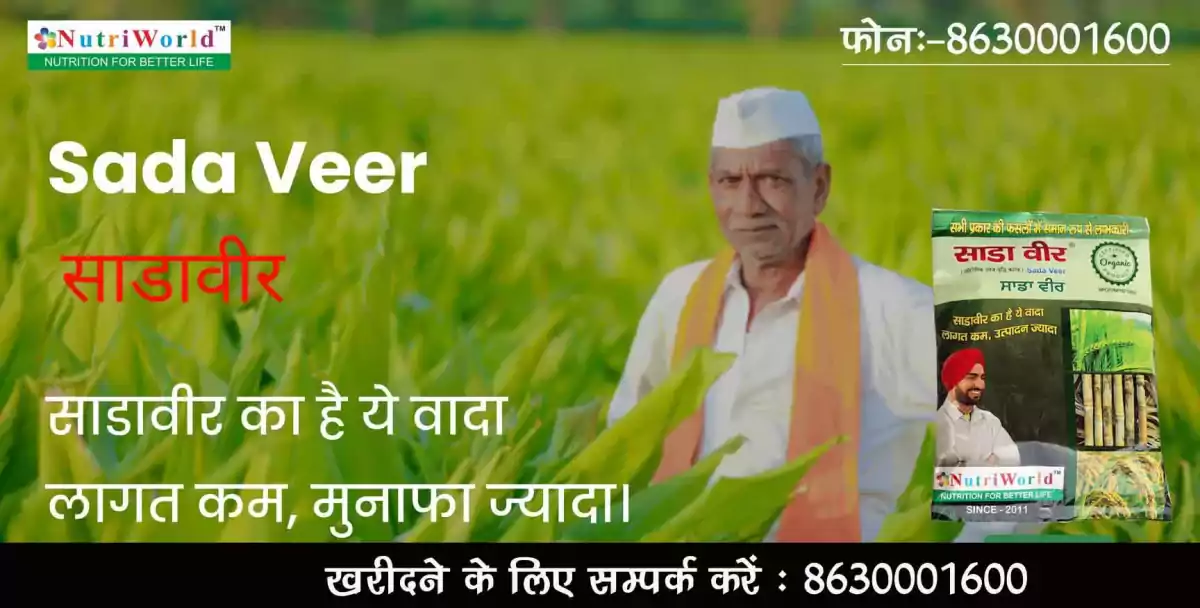 चैम्पियन क्लब,धरती को जहर मुक्त बनाने का संकल्प,on the foundation day of Champion Club, farmers , to make the earth poison free, #sadavir,