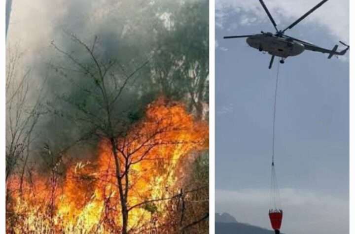 @pushkardhami ,#nainital, #forestfire ,#Uttarakhand,#fire ,#LatestNews ,#bareillylive ,#NainitalFIRE,