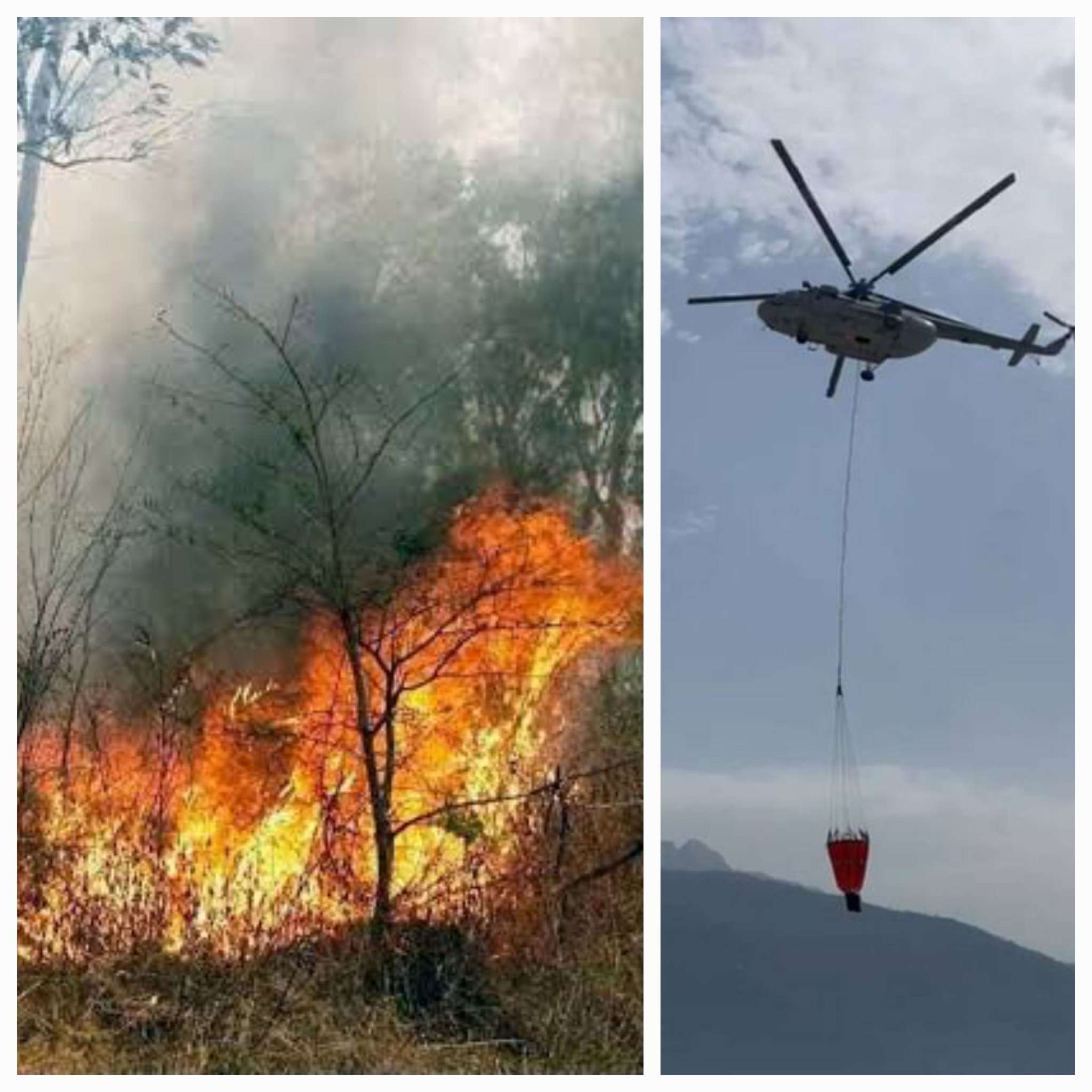 @pushkardhami ,#nainital, #forestfire ,#Uttarakhand,#fire ,#LatestNews ,#bareillylive ,#NainitalFIRE,