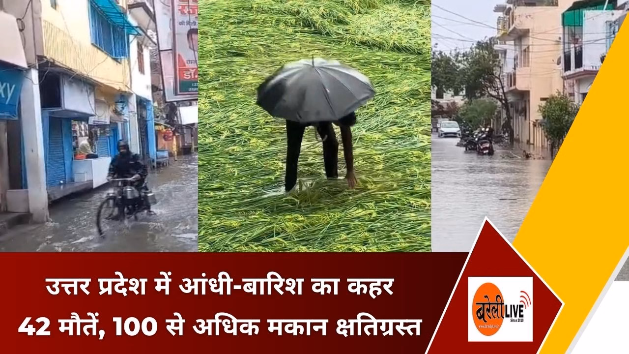 https://bareillylive.in/bareilly-news/up-heavy-rain-storm-42-deaths-100-houses-damaged/